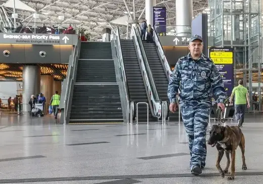 В России усилили безопасность в аэропортах и на вокзалах после атаки на «Крокус»