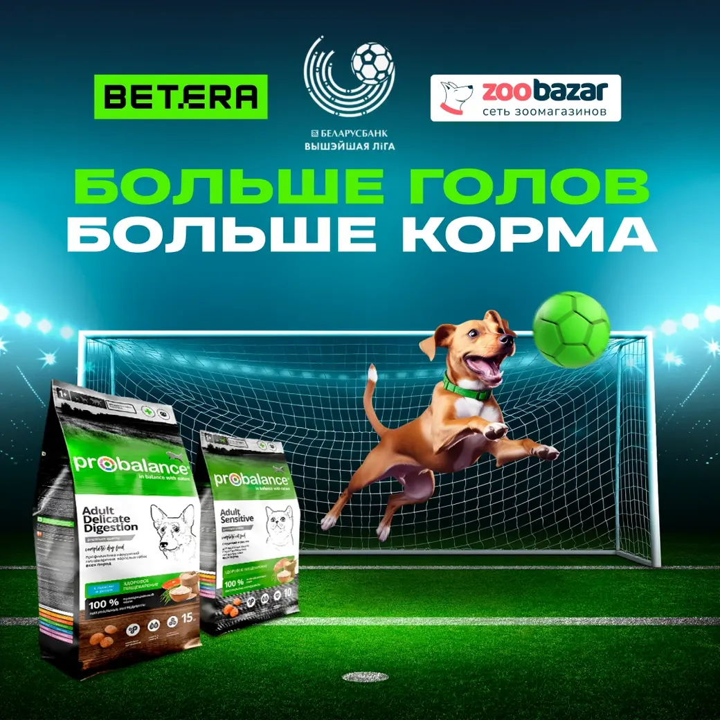 Betera Pets – масштабная акция помощи бездомным животным.