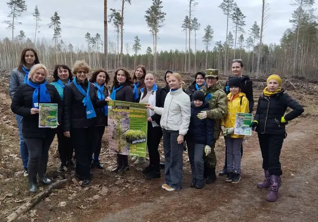 В Бобруйском районе ученики и педагоги высадили 7500 саженцев нового леса
