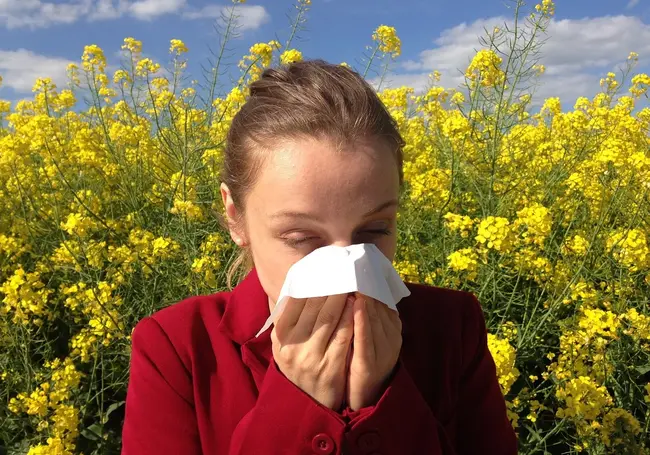 Глаза чешутся, насморк и чихаете? Возможно, у вас аллергия на пыльцу. Почитайте советы