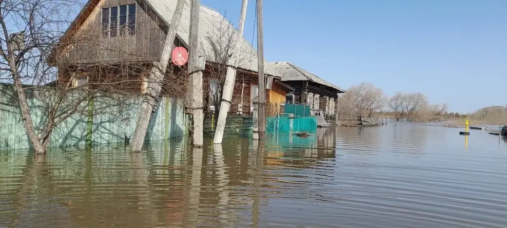В затопленном российском Кугане появились бобры. Фото: ТГ-канал «Короче, Курган».