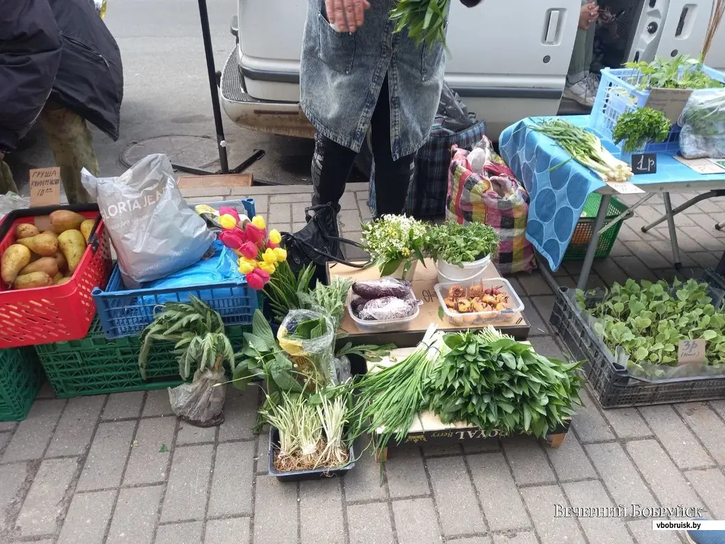 Брестские огурцы, узбекские кабачки и лучок «от бабушек»: сколько стоят  сезонные овощи на рынке | bobruisk.ru