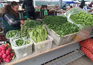 Брестские огурцы, узбекские кабачки и лучок «от бабушек»: сколько стоят сезонные овощи на рынке