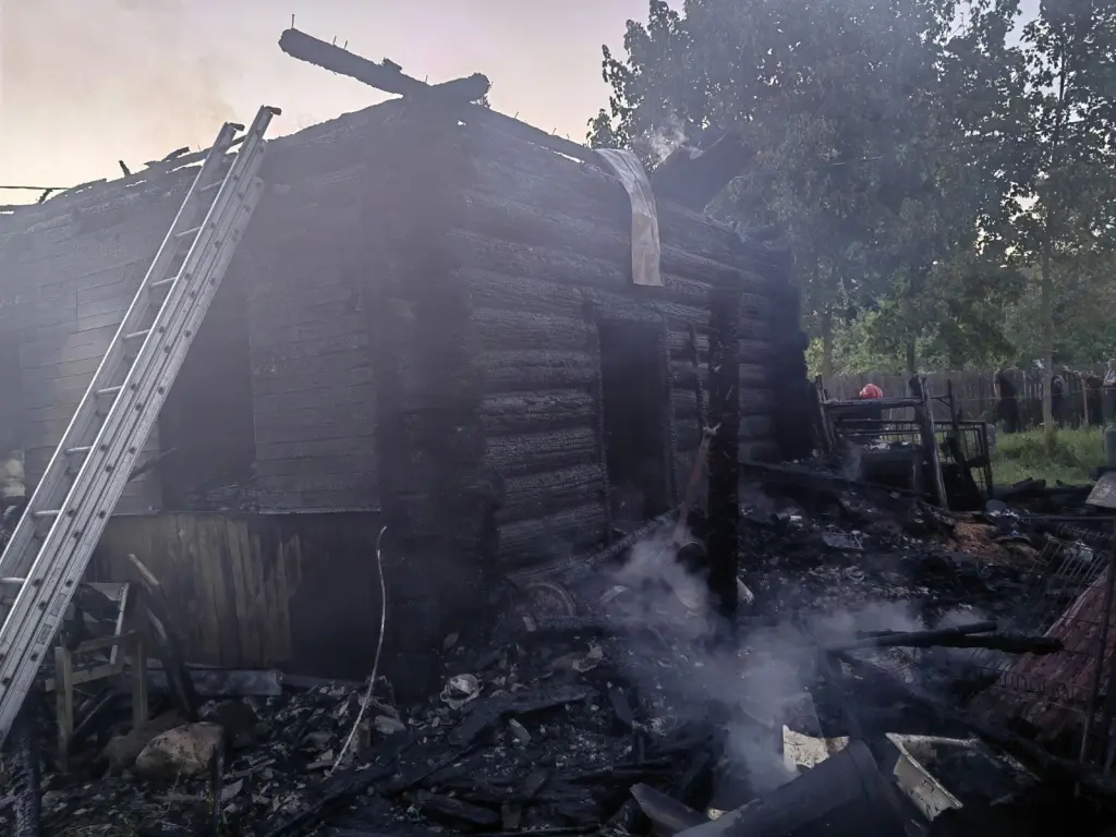 В Шкловском районе на пожаре в дачном доме погибла пожилая женщина |  bobruisk.ru