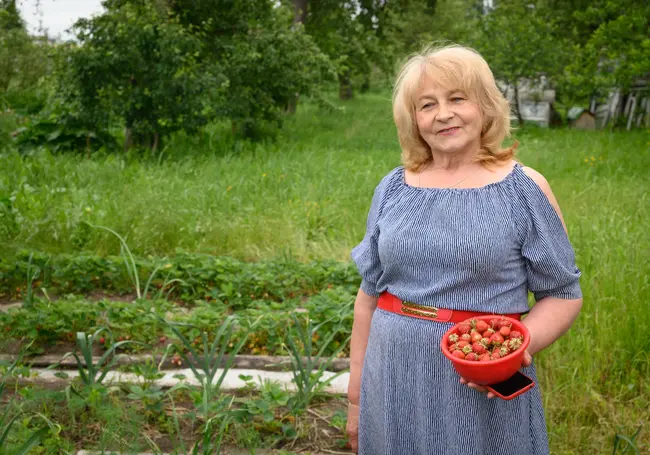 «В сезон рублей на 300 клубники и ежевики продала». Как пенсионерка из Бобруйска подрабатывает на ягодах