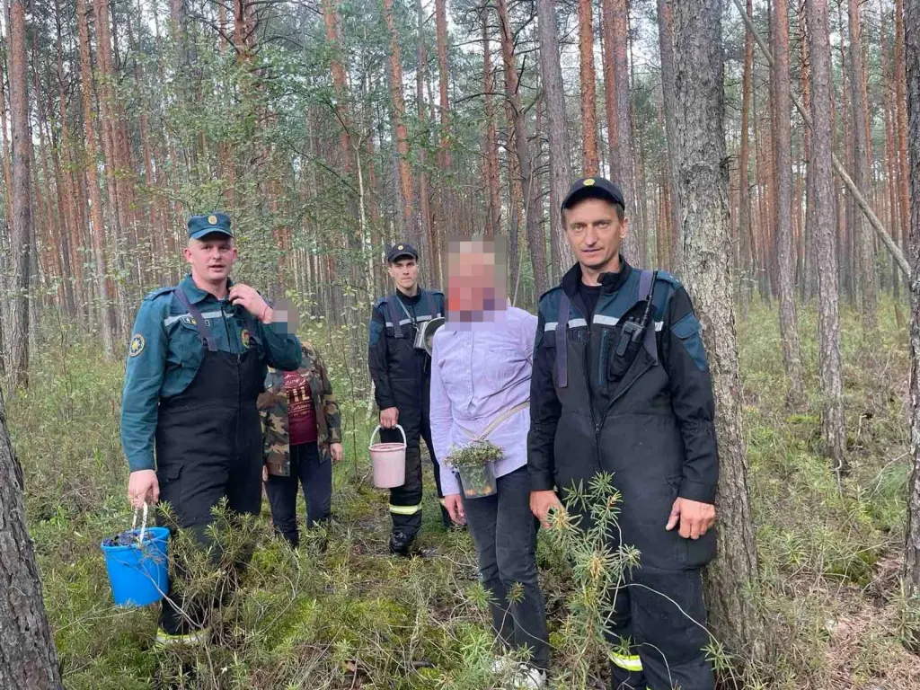 Были напуганы, но ягоды не бросили: в лесу Бобруйского района искали двух  женщин | bobruisk.ru