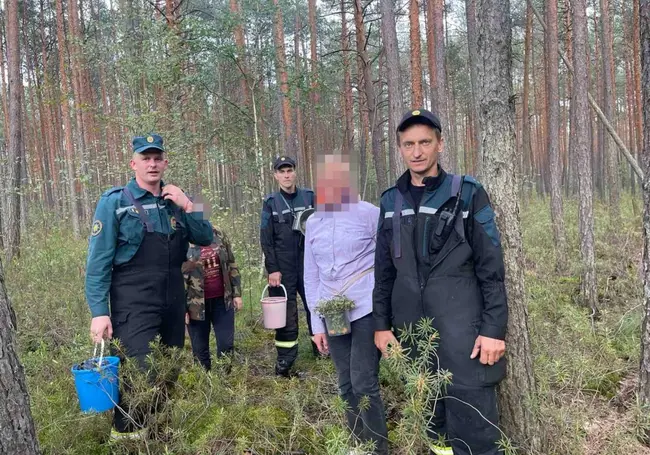 Были напуганы, но ягоды не бросили: в лесу Бобруйского района искали двух женщин