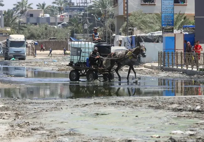 В сточных водах сектора Газа обнаружен очень опасный и заразный вирус