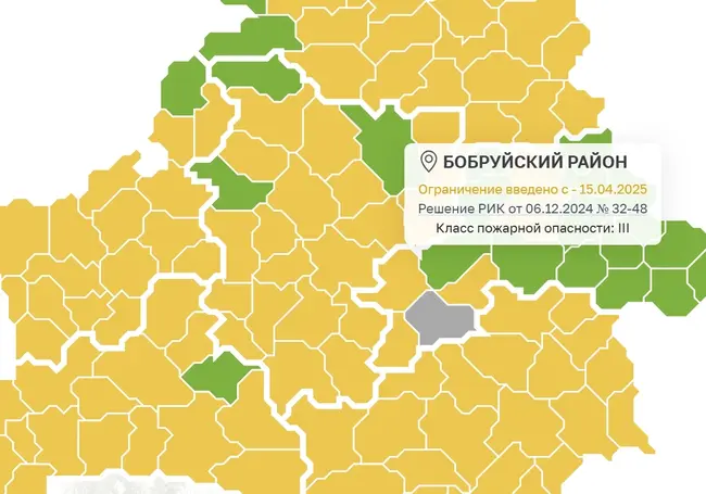 Ограничение на посещение леса введены в Бобруйском районе