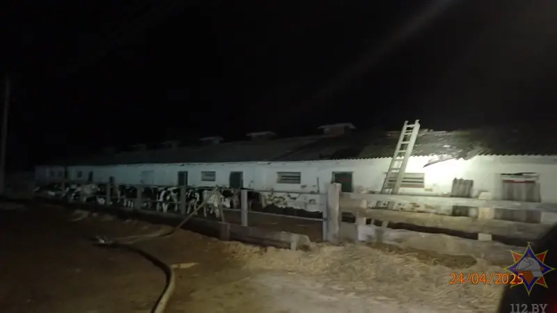 24.04.2025 г. Бобруйский район. Фото: Могилевское областное УМЧС