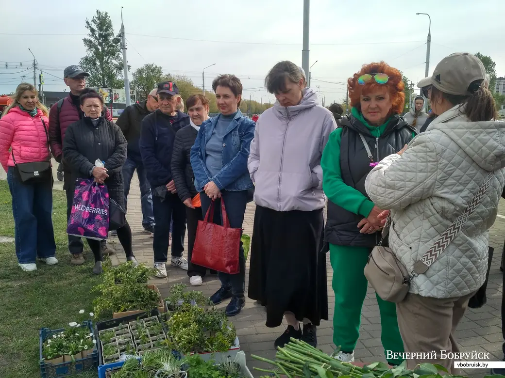 29.04.2025 г. Бобруйск. Акция «Радуница без пластика». Фото автора.