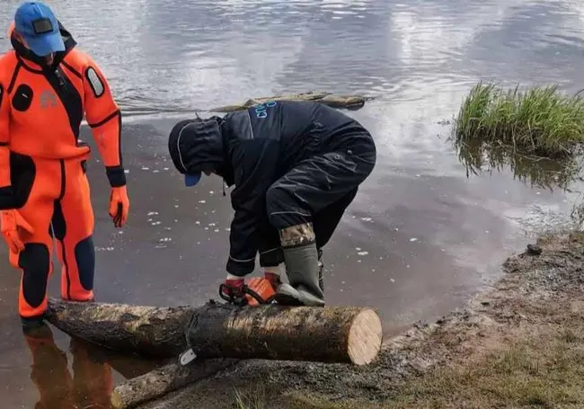 Старые ботинки да бревна. Что нашли водолазы при очистке водоемов в Бобруйске