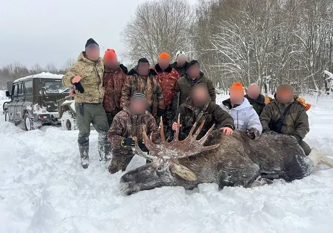 Использовали квадрокоптеры, фотоловушки, огнестрельное оружие. Завершено расследование в отношении браконьеров из Витебской