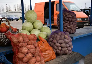 «Бульбы в два раза меньше. А будет в три». Обзор картофельного рынка Бобруйска