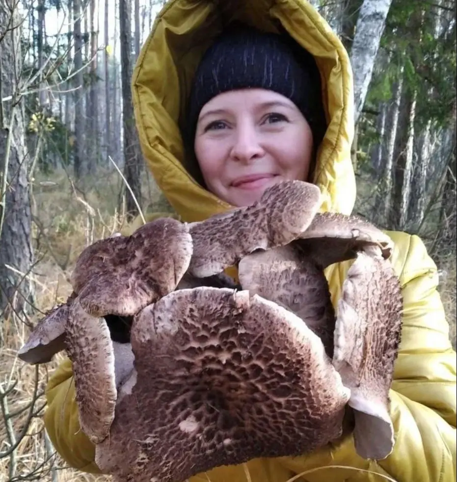 2.11.2024 г. Бобруйчанка Алла Сорокина в лесу под Кличевом.