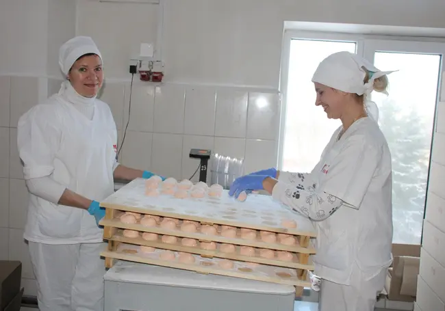 Профессию изготовителя мармеладно-пастилочных изделий можно освоить в Бобруйске, педагога-организатора – в Минске