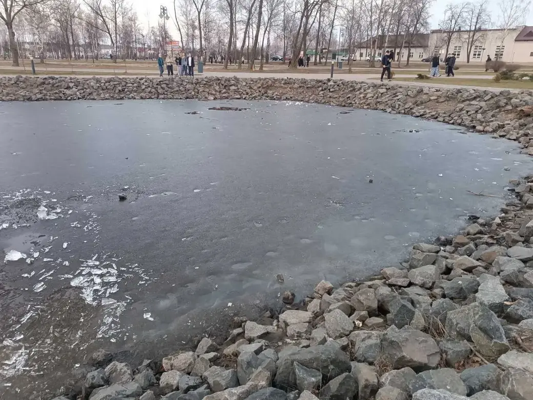Мальчик решил проверить толщину льда на пруду городского парка. Фото: ОСВОД Могилевской области.