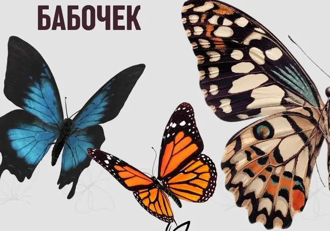Выставка «Порхающие цветы»
