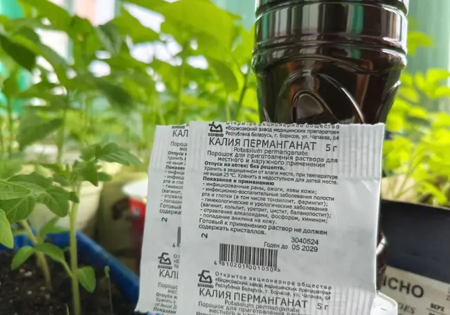 Зачем нужна марганцовка на огороде? Потому что есть реальная польза. Рассказываем, какая