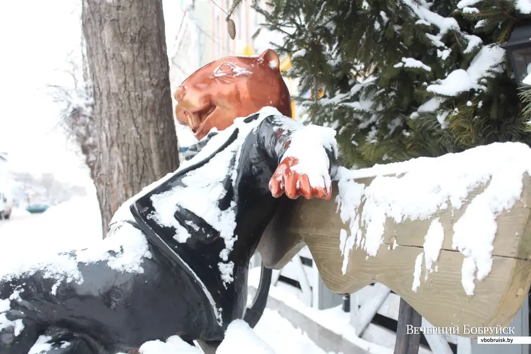 16.01.2019. Бобр на площади Победы.